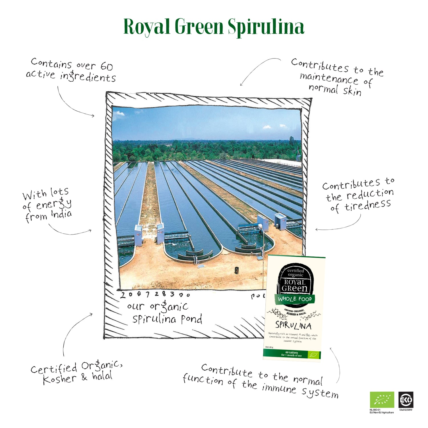 Spirulina BIO